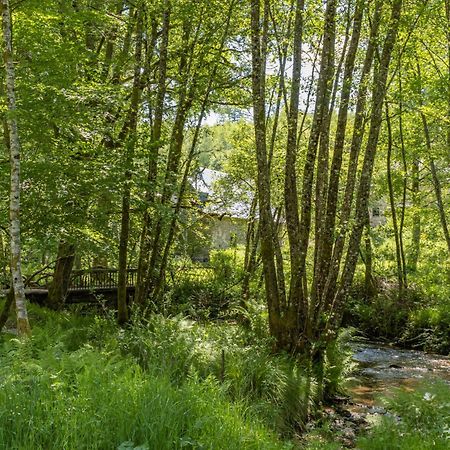 Gite Nature Le Moulin Vitrac-sur-Montane Dış mekan fotoğraf