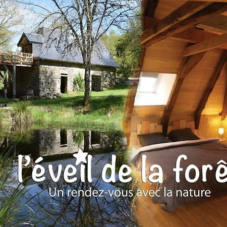 Gite Nature Le Moulin Vitrac-sur-Montane Dış mekan fotoğraf