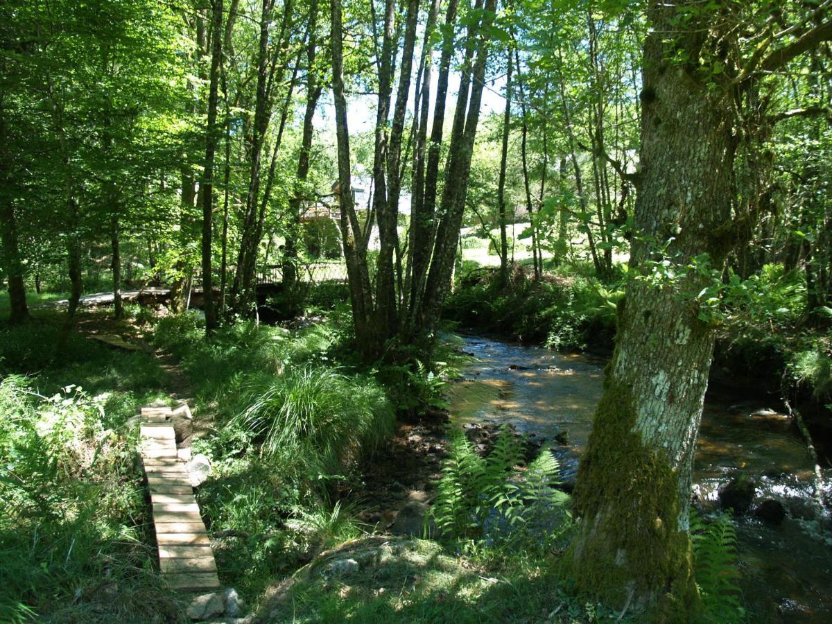 Gite Nature Le Moulin Vitrac-sur-Montane Dış mekan fotoğraf