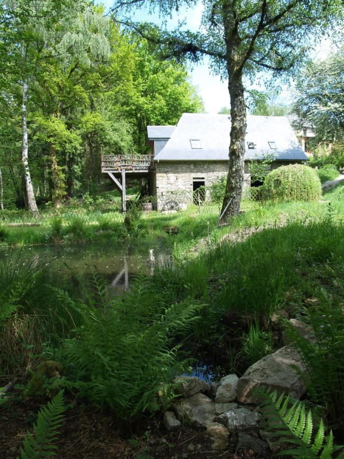 Gite Nature Le Moulin Vitrac-sur-Montane Dış mekan fotoğraf