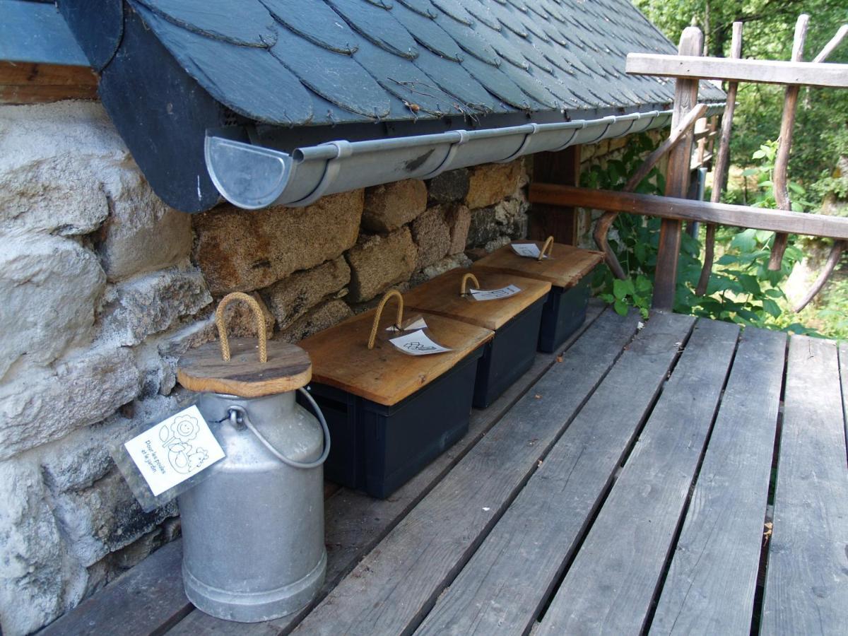 Gite Nature Le Moulin Vitrac-sur-Montane Dış mekan fotoğraf