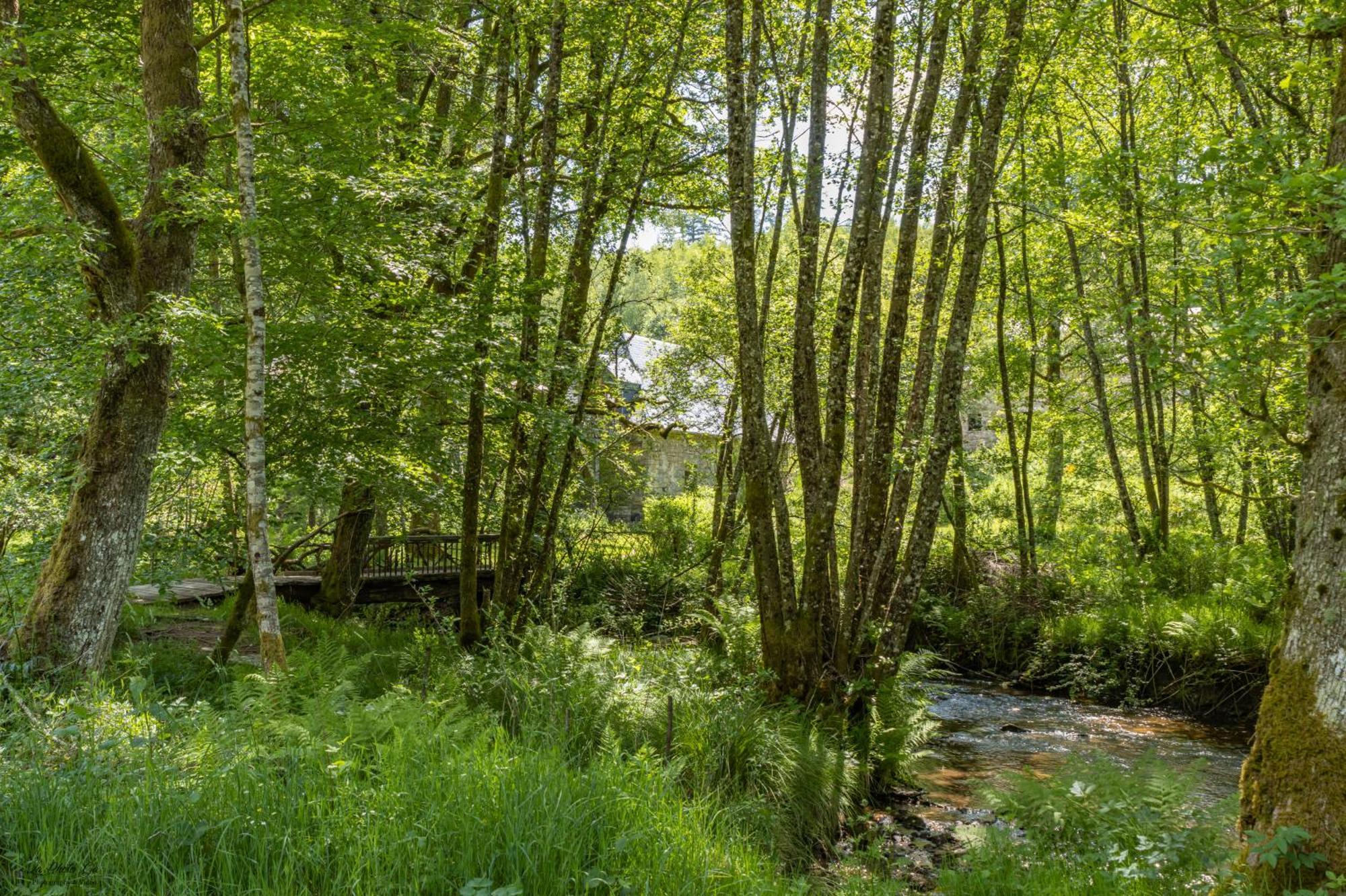 Gite Nature Le Moulin Vitrac-sur-Montane Dış mekan fotoğraf