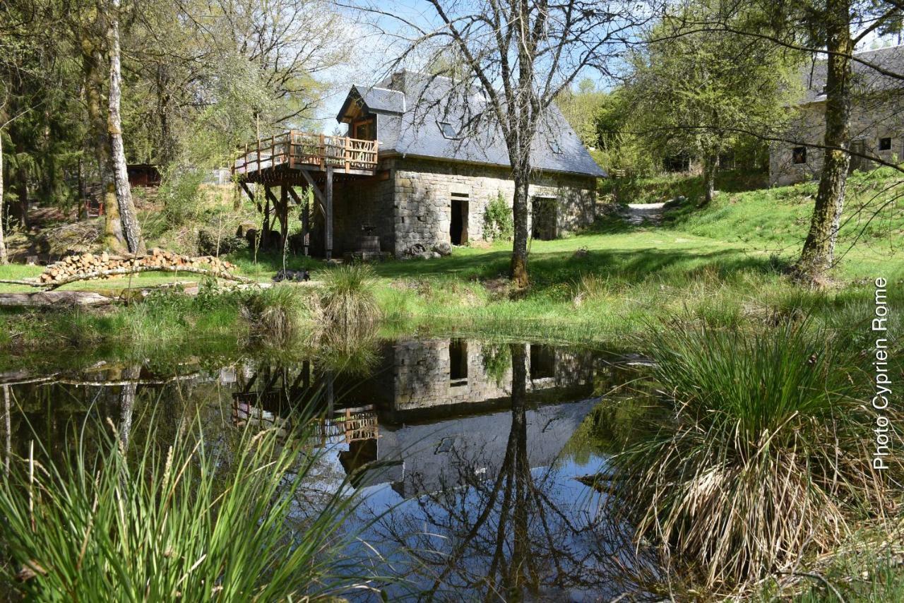Gite Nature Le Moulin Vitrac-sur-Montane Dış mekan fotoğraf